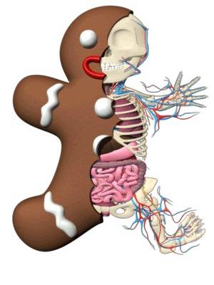 [Boot Animation Roundup Part 5] Come See The Amazing Gingergut Man
