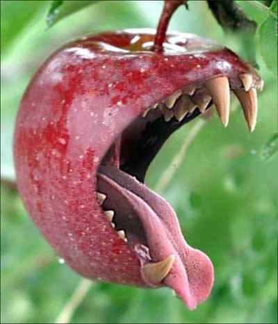 Irony Alert: Apple Says Samsung And Motorola Are