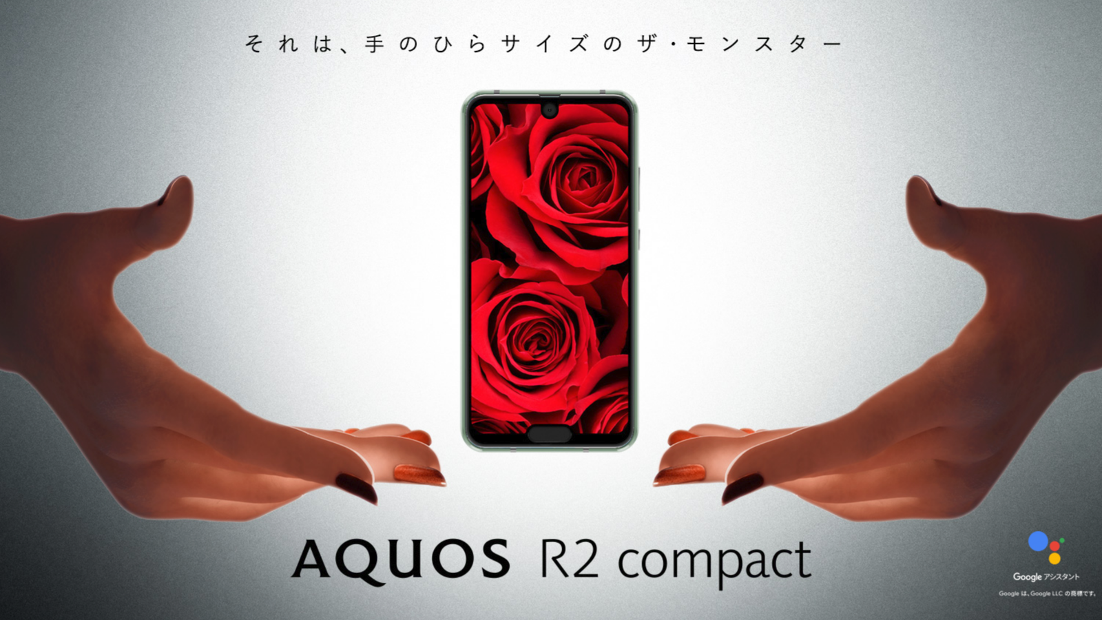 Sharp's Aquos R2 Compact has double the notches, double the fun?