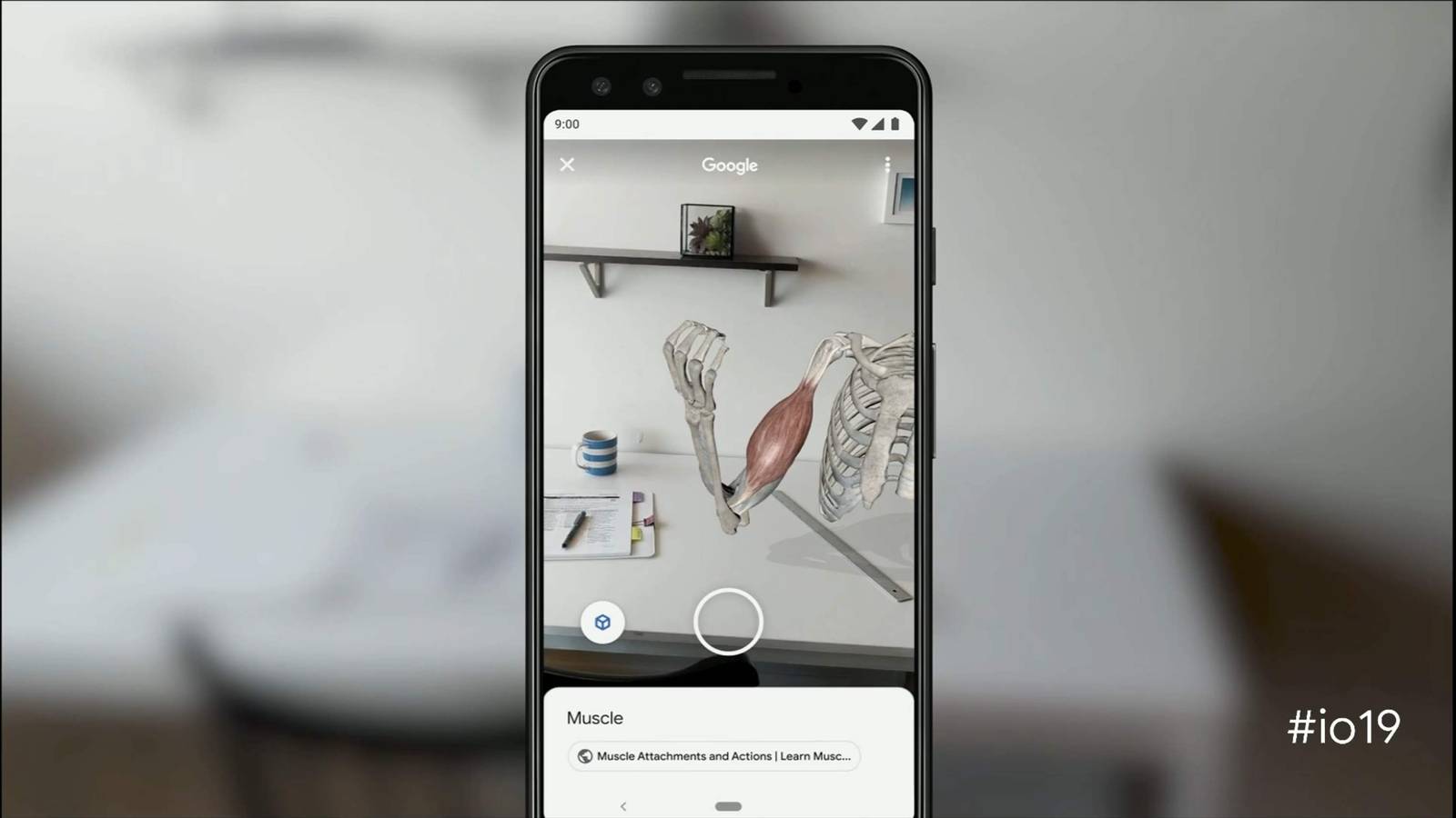 3D models in augmented reality are coming directly to Google search