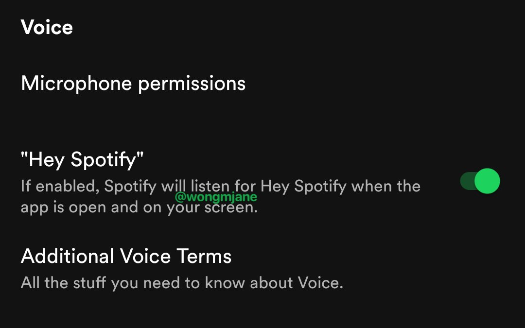 Spotify is testing an in-app 'Hey Spotify' voice assistant