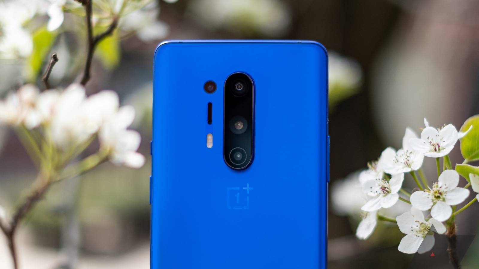 OxygenOS Open Beta 3 for OnePlus 8/8 Pro now available for download