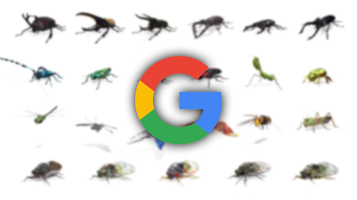 Googly Insects Google AR animals now include 23 beetles, butterflies, cicadas, and ...