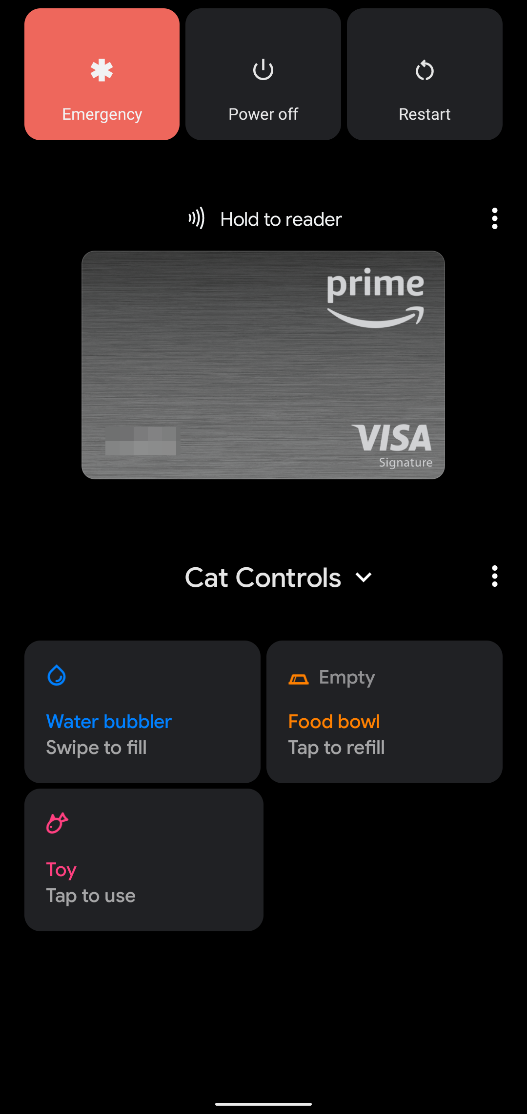 The Android 11 Easter egg has landed, and the cats are back
