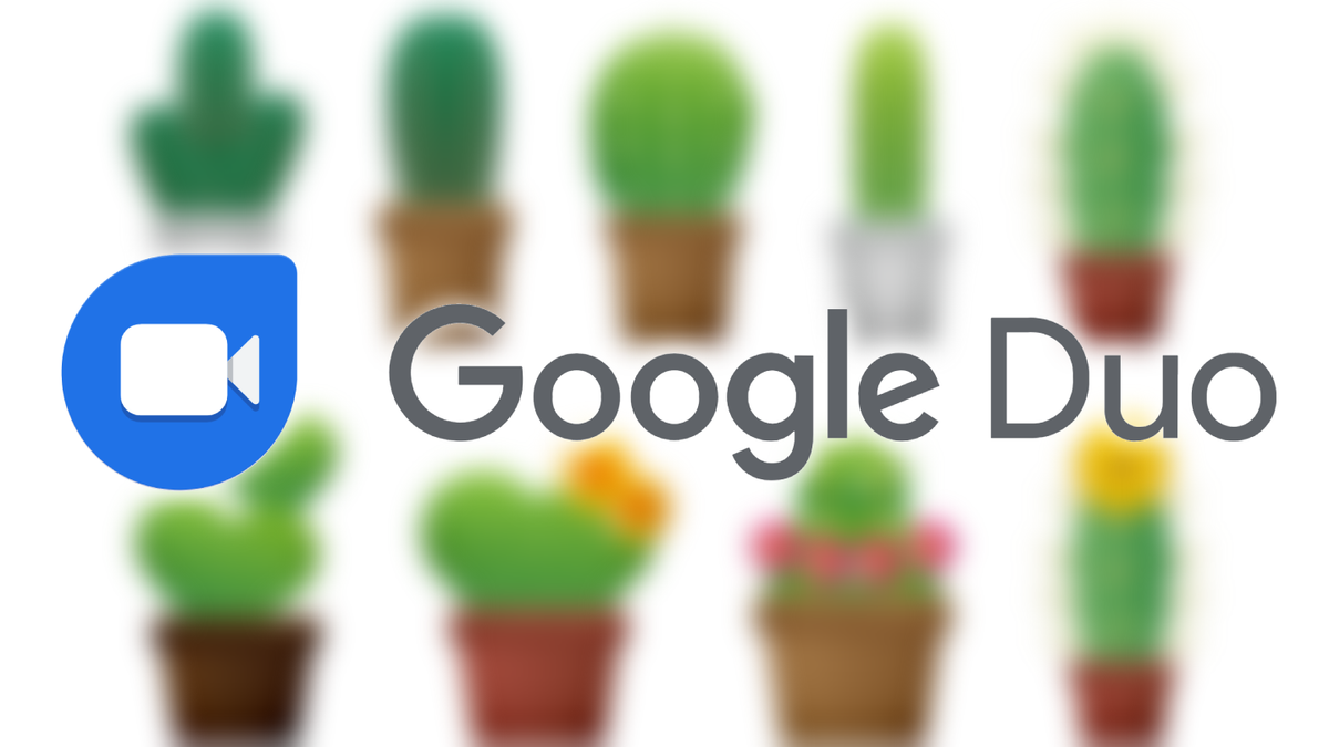 Get prickly with Google Duo's latest AR video effect