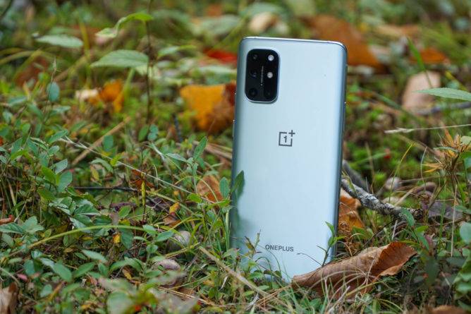 A OnePlus 8T sitting in foliage