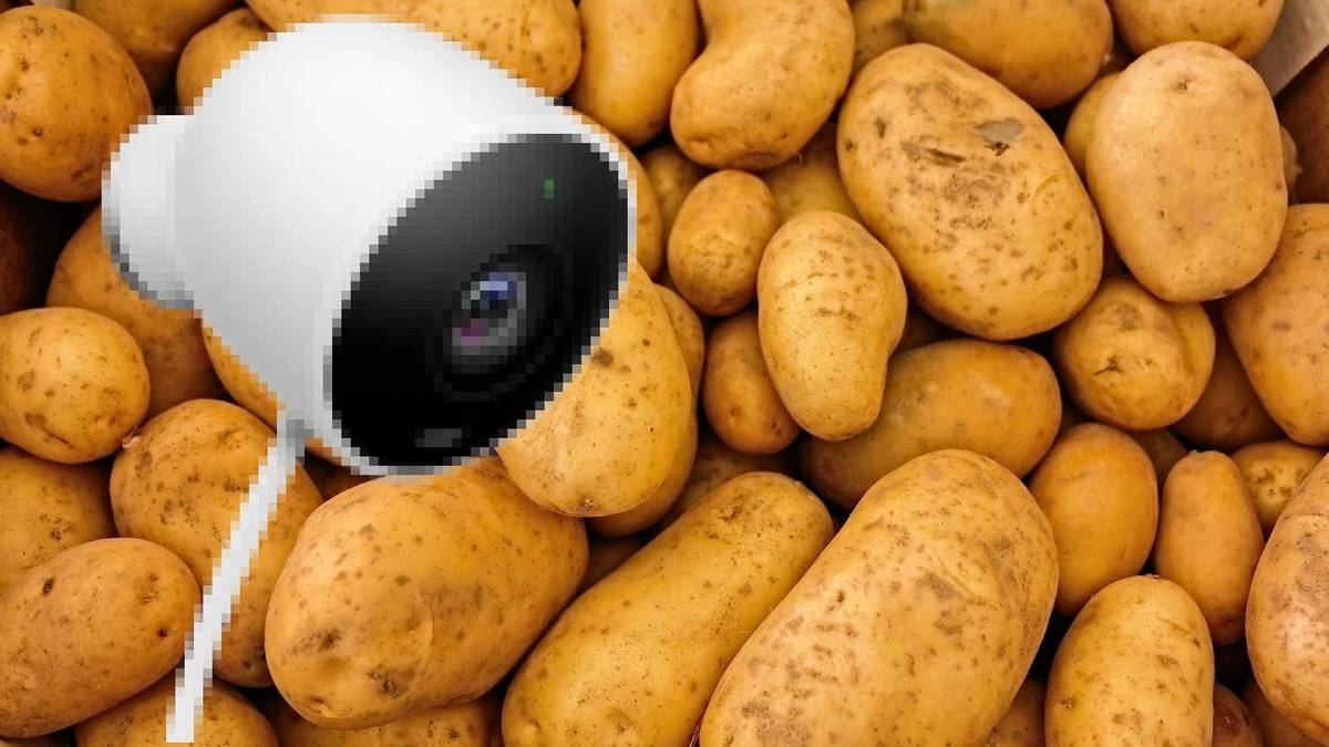 Nest cameras' potato video quality on mobile data seems to be fixed