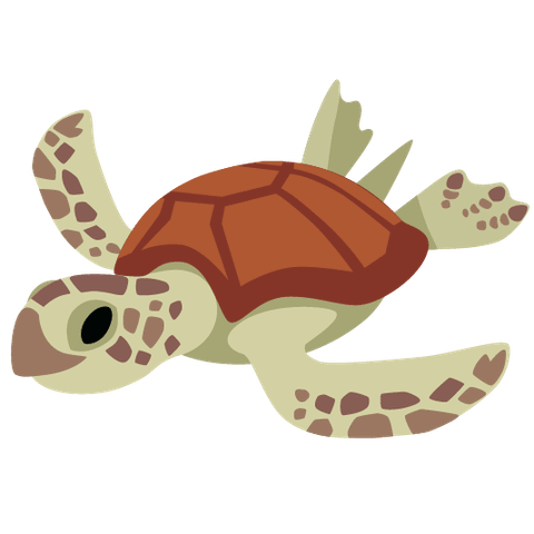 gboard-emoji-kitchen-different-turtle-18