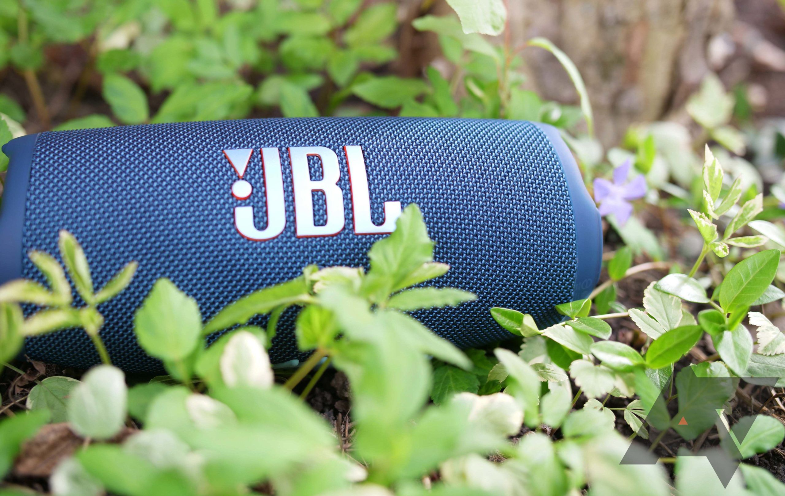 JBL Charge 5 long-term review: The perfect summer companion