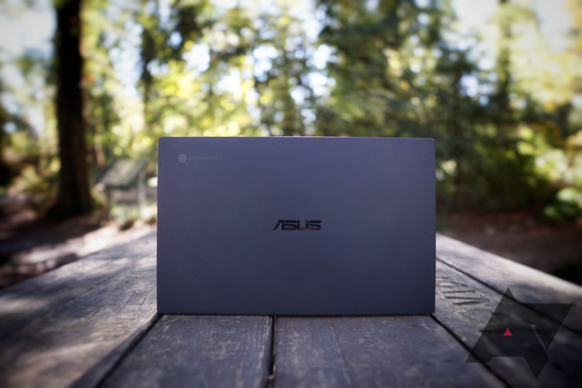 ASUS Chromebook 本体 グレー Amazon.com: ASUS 11.6