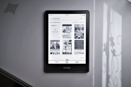 blauregen sämling Jetzt Blauregen 'Prolific' online kaufen bei Bohlken Pflanzenversand –  Bohlken Pflanzenversand GbR