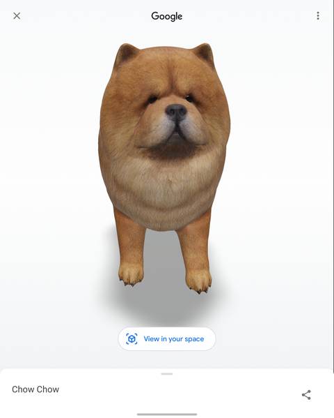 Google 3D animals: 110+ AR critters, dinosaurs, and more