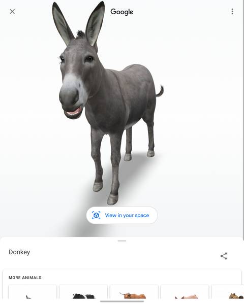 Google Animal Google 3D animals: 110+ AR critters, dinosaurs, and more