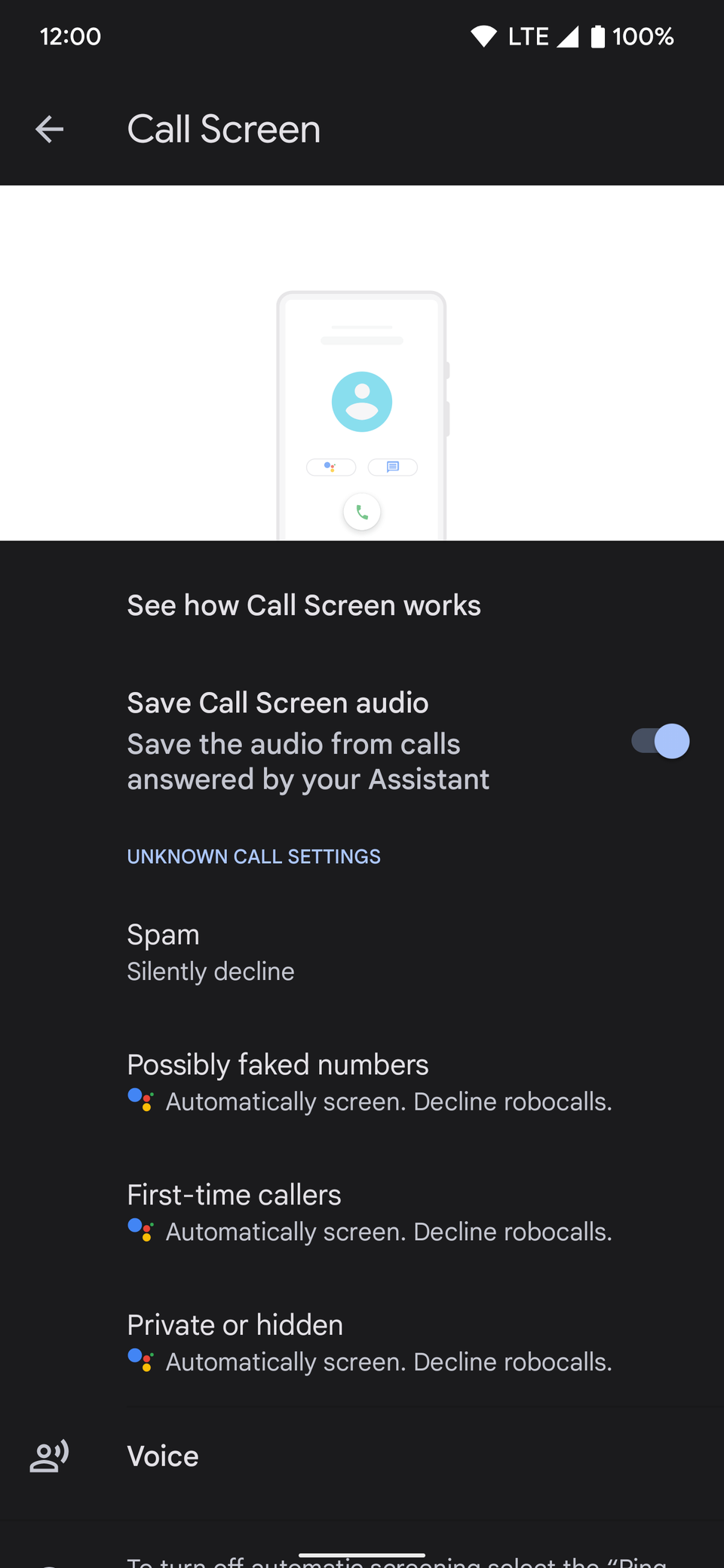 pixel-spam-call-screen-6