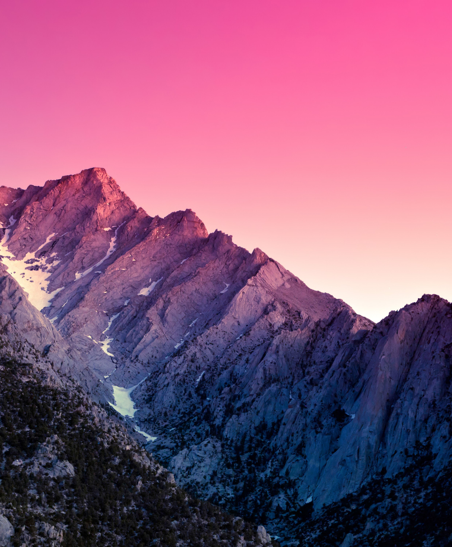 Download all 457 Google Wallpapers backgrounds from the Pixel phones