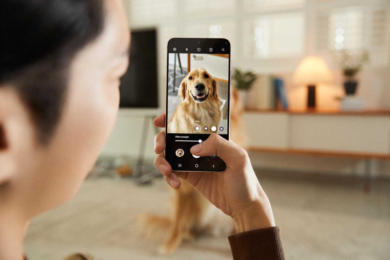 4 reasons you should never use your pet’s name as a password