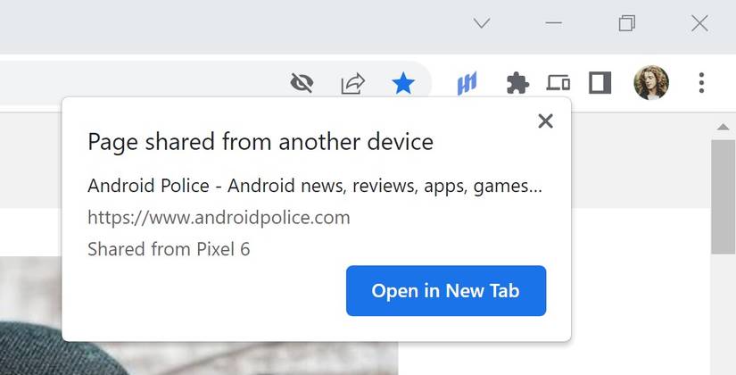 chrome browser screenshot showing share page prompt