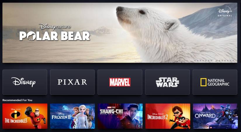 The top 8 streaming video services that are worth the money