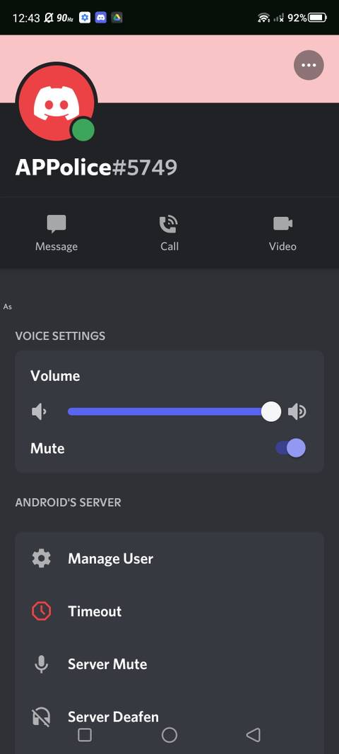 Screenshot of the applied mute status on a Discord user