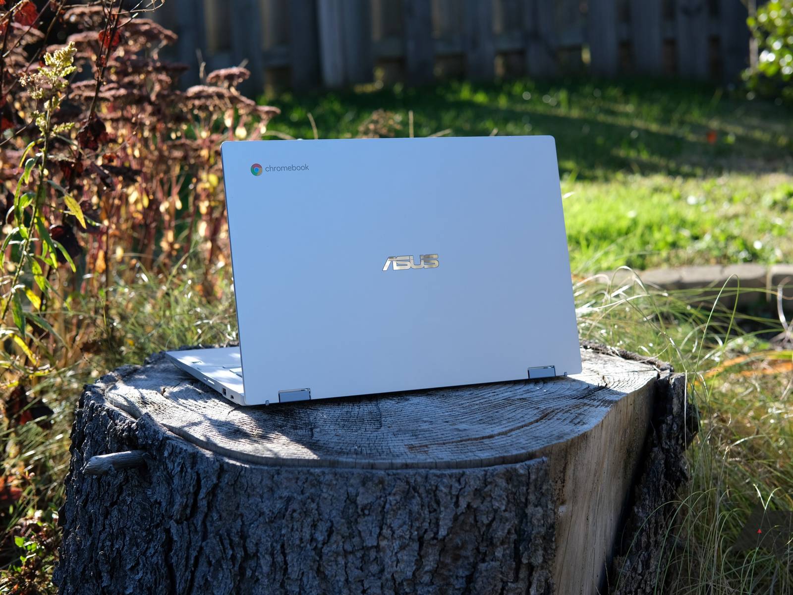 ASUS Chromebook Flip CX3 (CX3400) review: The minivan of Chromebooks