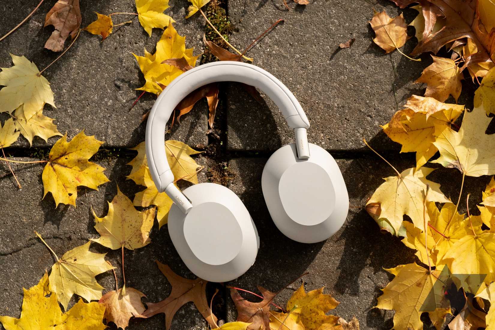 fones de ouvido brancos deitados em pedra cercados por folhas amarelas