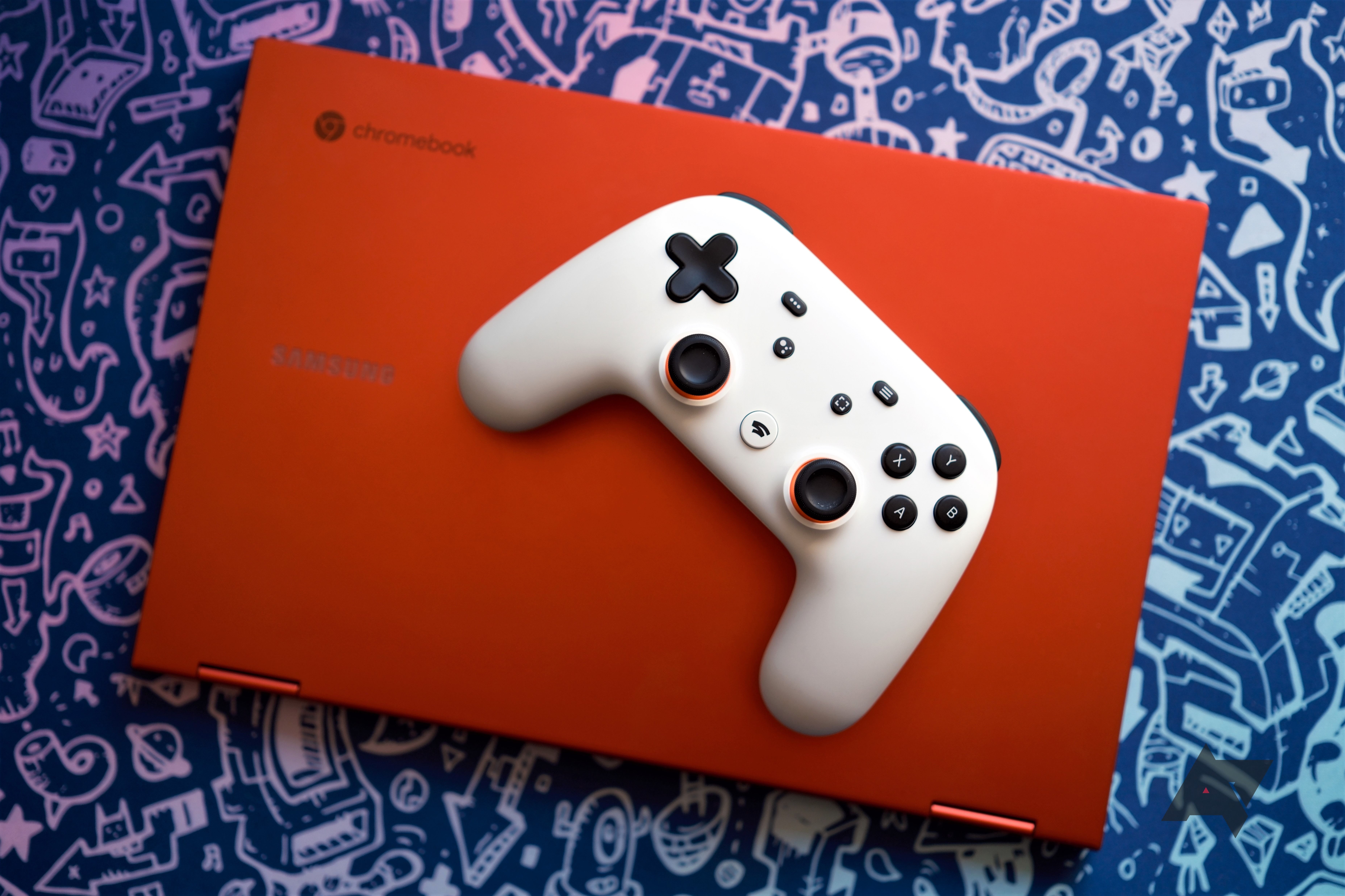 Stadia ucciso quest'anno (1)