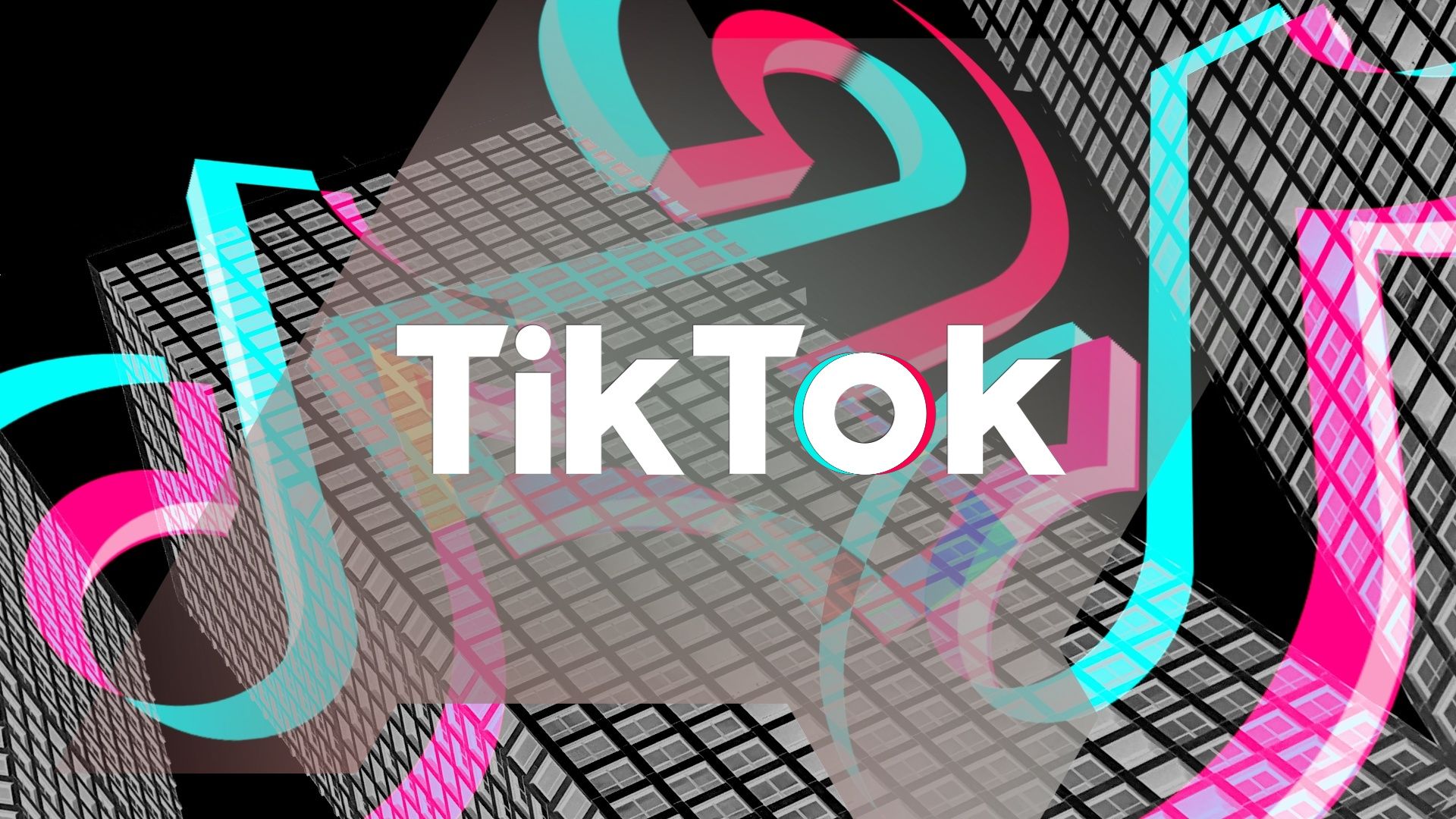 TikTok Trends That Will Leave You Speechless