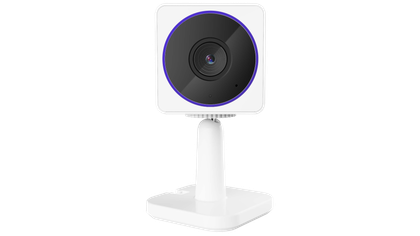 Wyze's latest super-cheap camera comes in two unique flavors