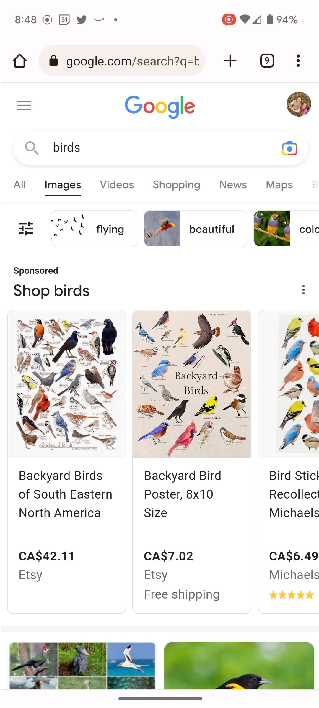 Pencarian Gambar Google dari ponsel Android untuk burung.