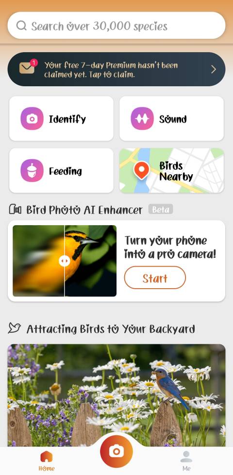 7 best birding apps