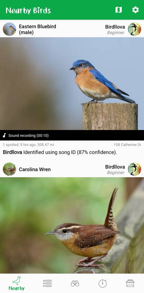 7 best birding apps