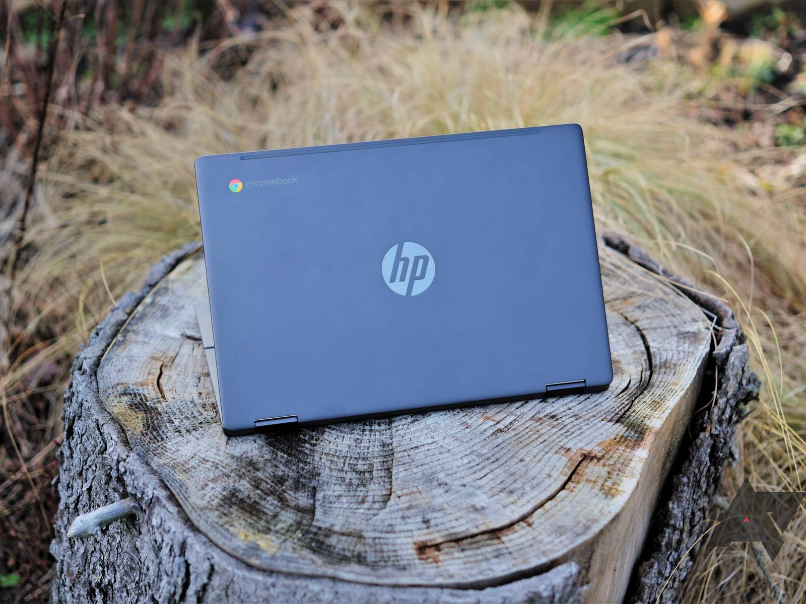 HP Chromebook x360 13b review: Trusty companion