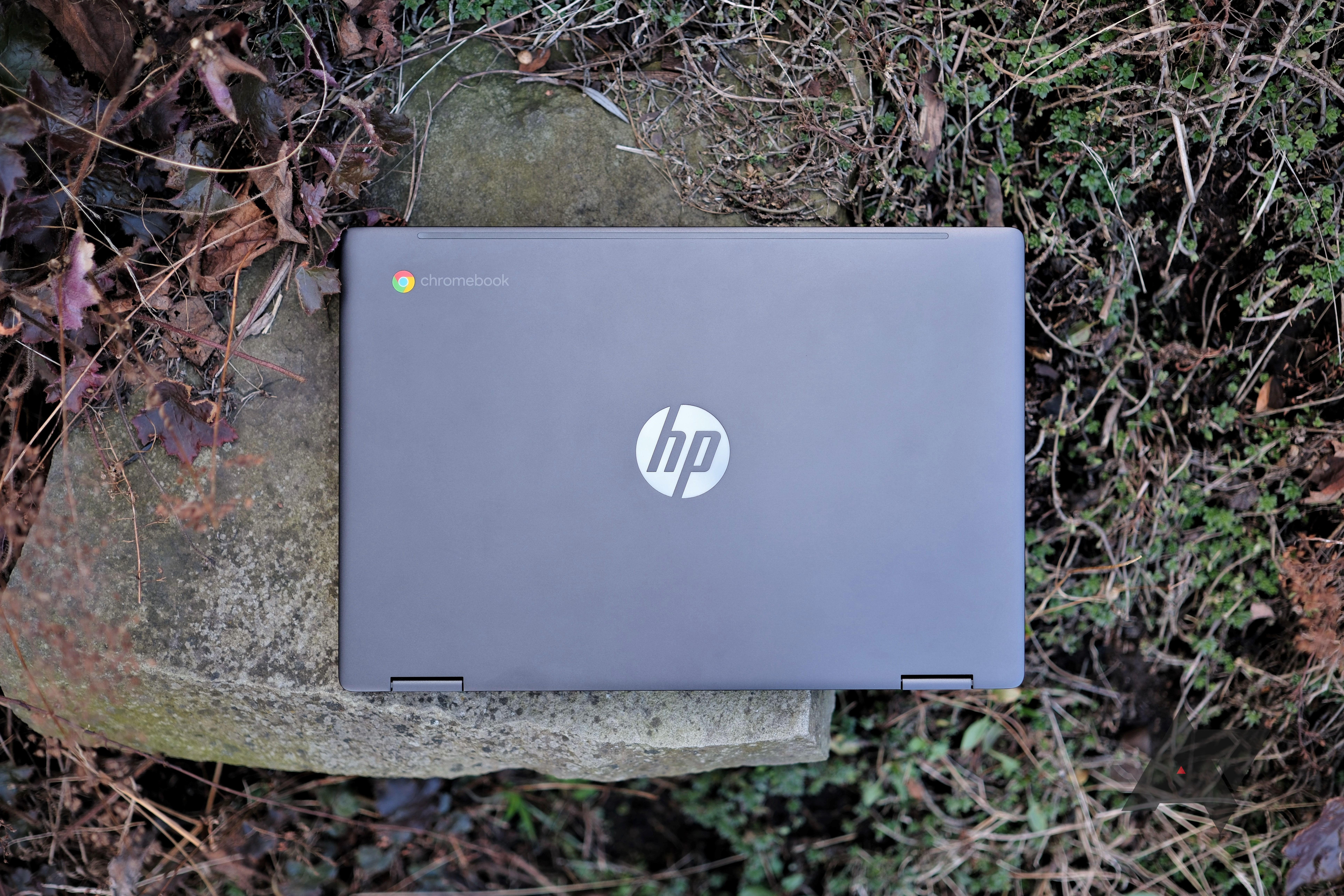 HP Chromebook x360 13b review: Trusty companion