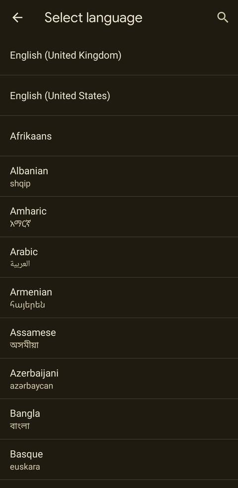How to change the language in the Google Chrome browser