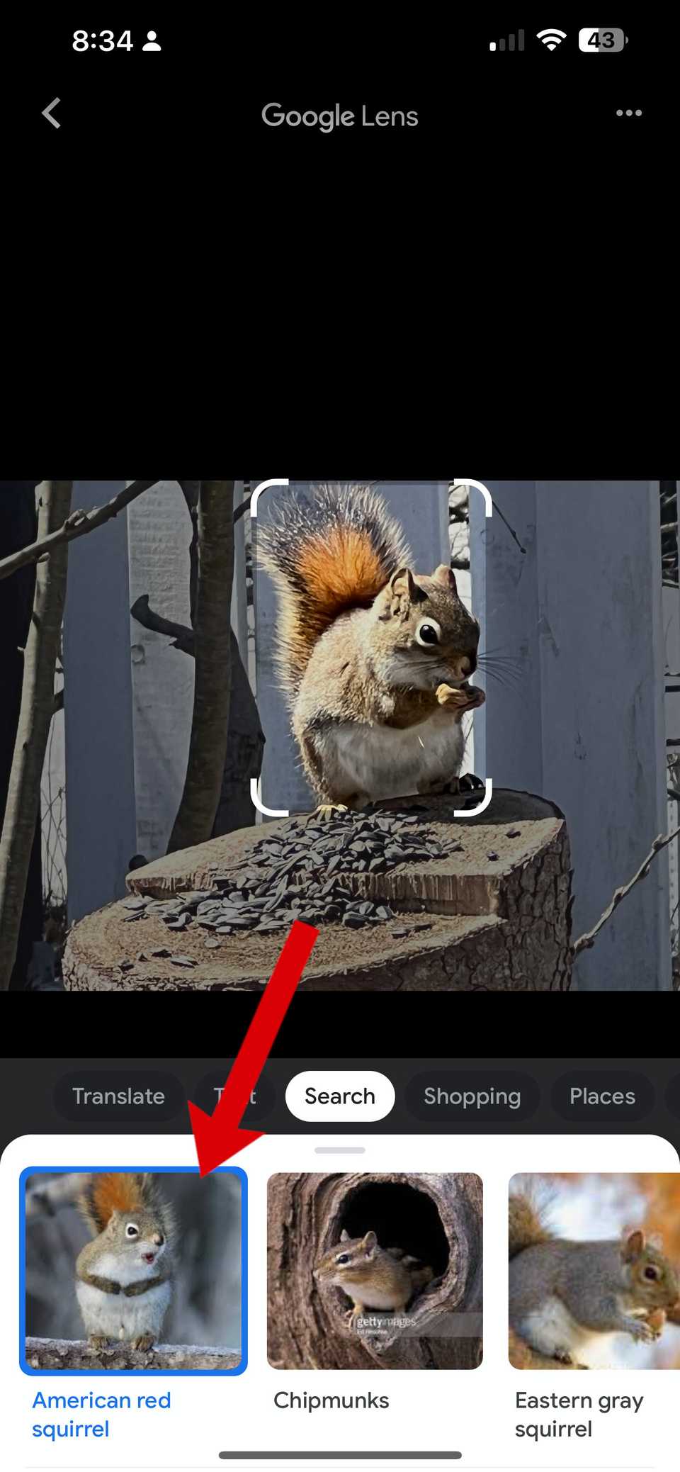 How to a reverse image search on Google
