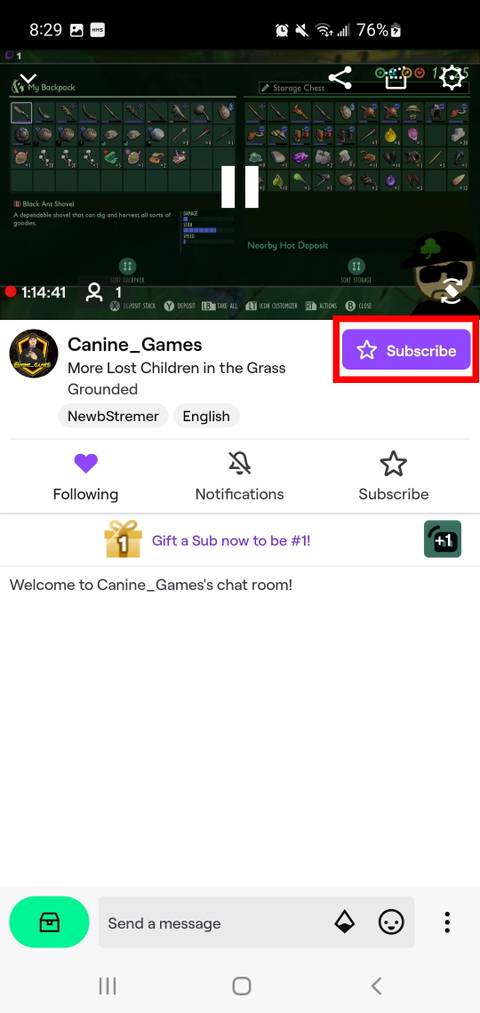 How to donate on Twitch