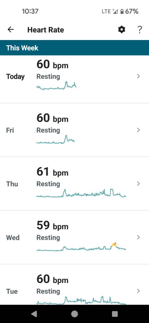 Fitbit Heart Rate Monitor Fitbit Basal Metabolic Rate Fitbit