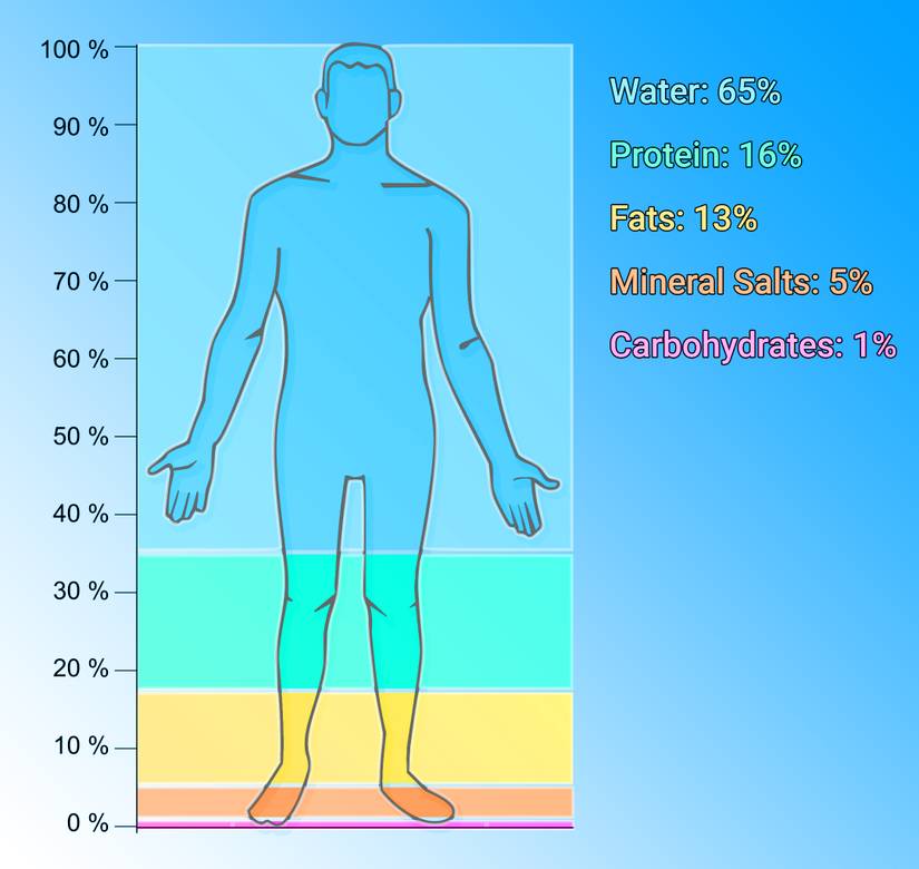 How smartwatches and wearables measure vital signs