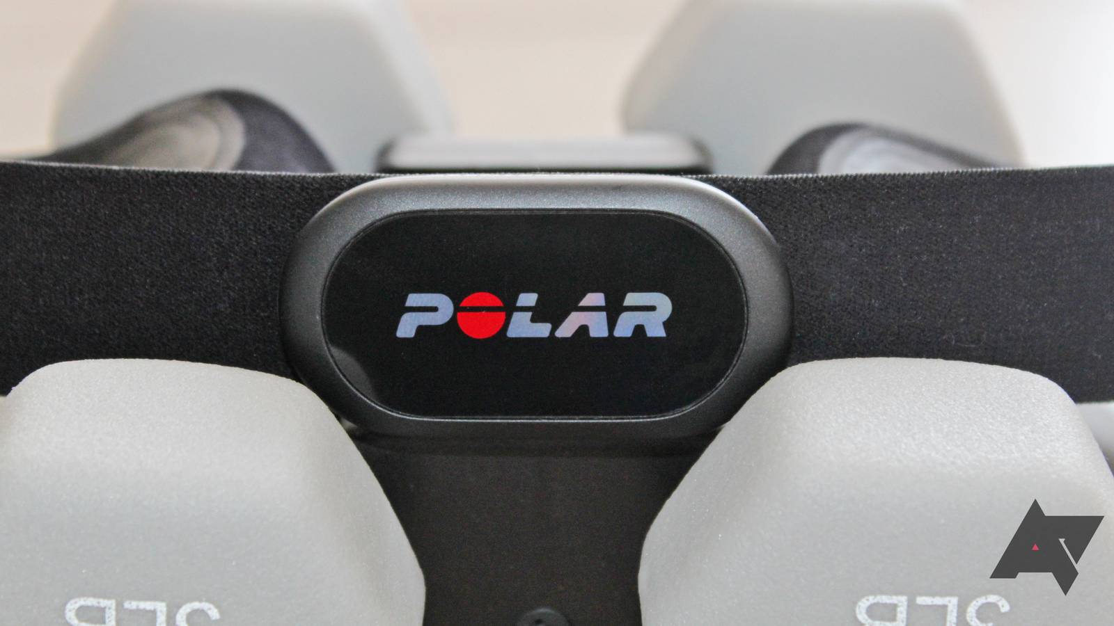 Polar H10 review: Connected heart rate monitoring with a catch