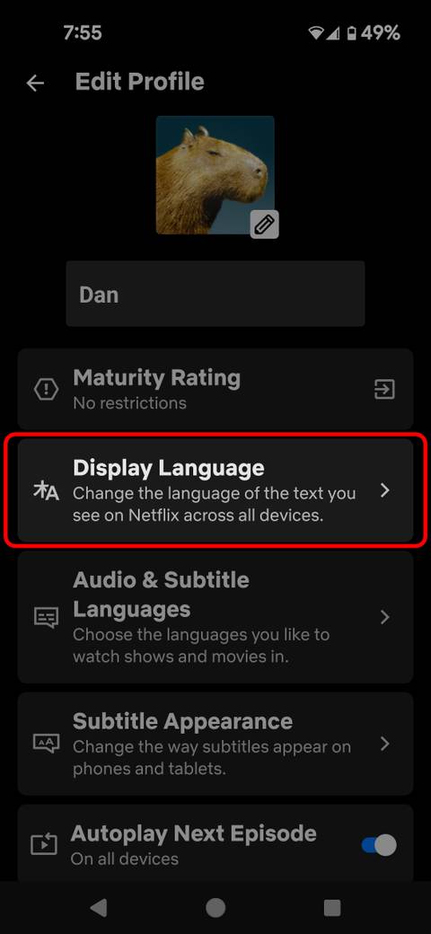 Netflix: How to change the language on your account
