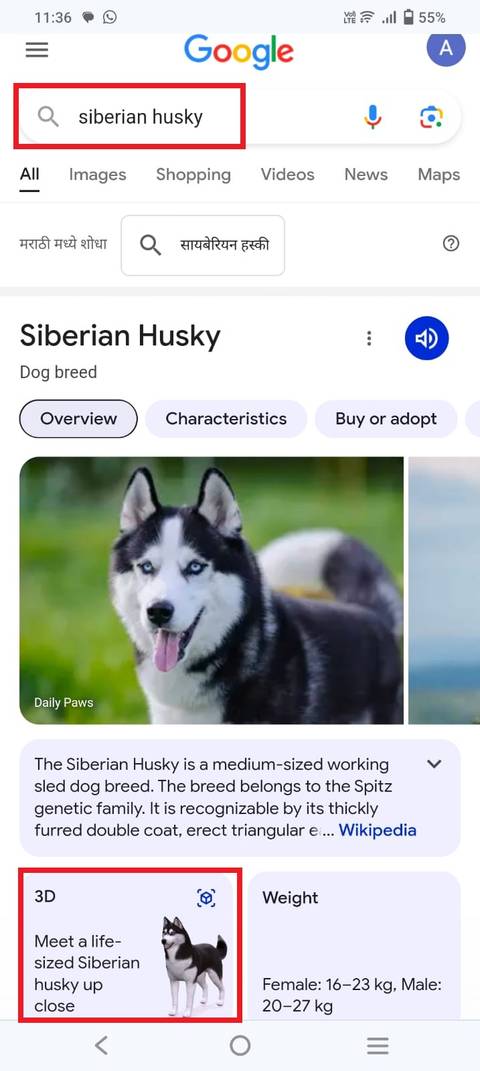 Google Animal Google 3D animals: 110+ AR critters, dinosaurs, and more