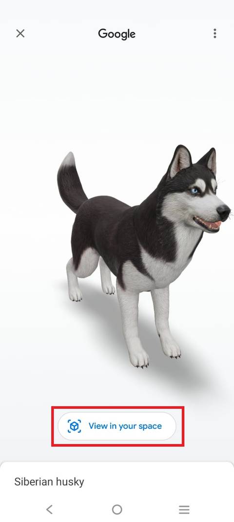 Google Animal Google 3D animals: 110+ AR critters, dinosaurs, and more