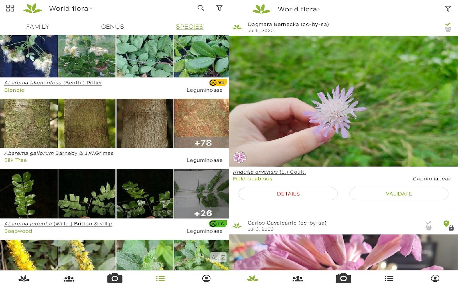 5 best plant identification apps on Android