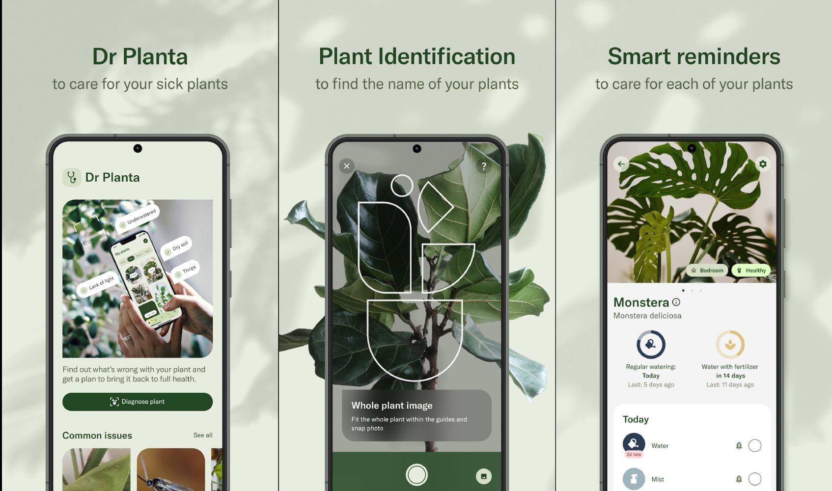 5 best plant identification apps on Android