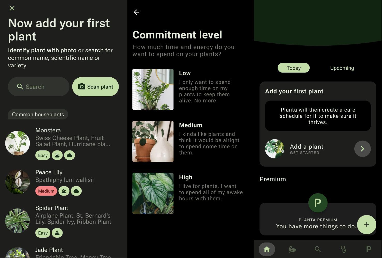 exotic plant seeds Monthly Tropical Houseplant Seed Subscription Box main image 0