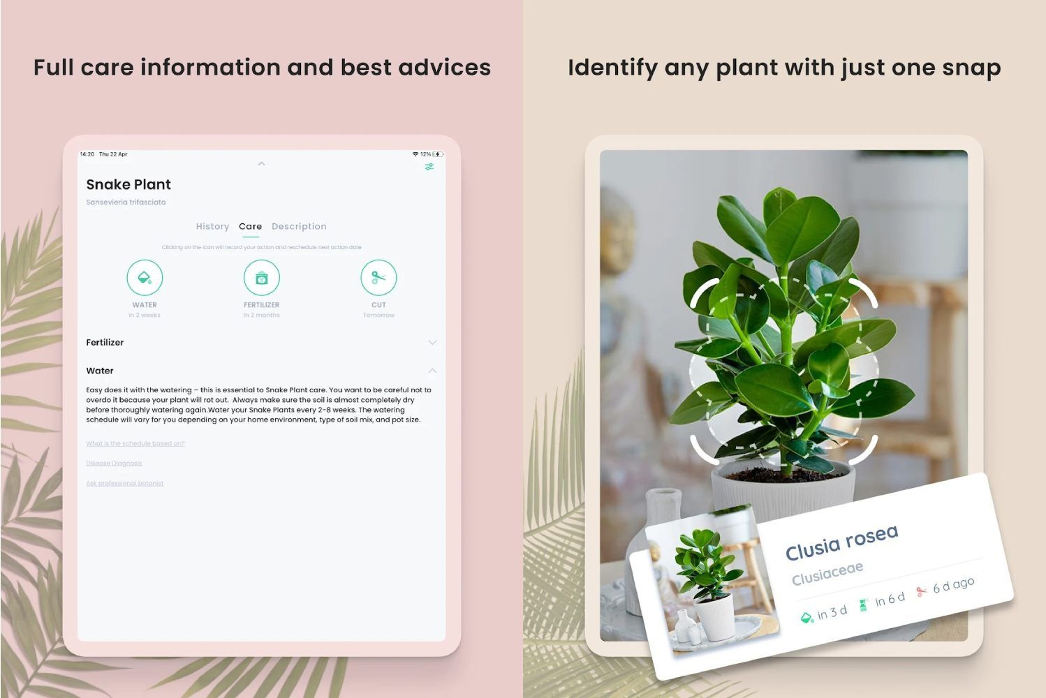 5 best plant identification apps on Android