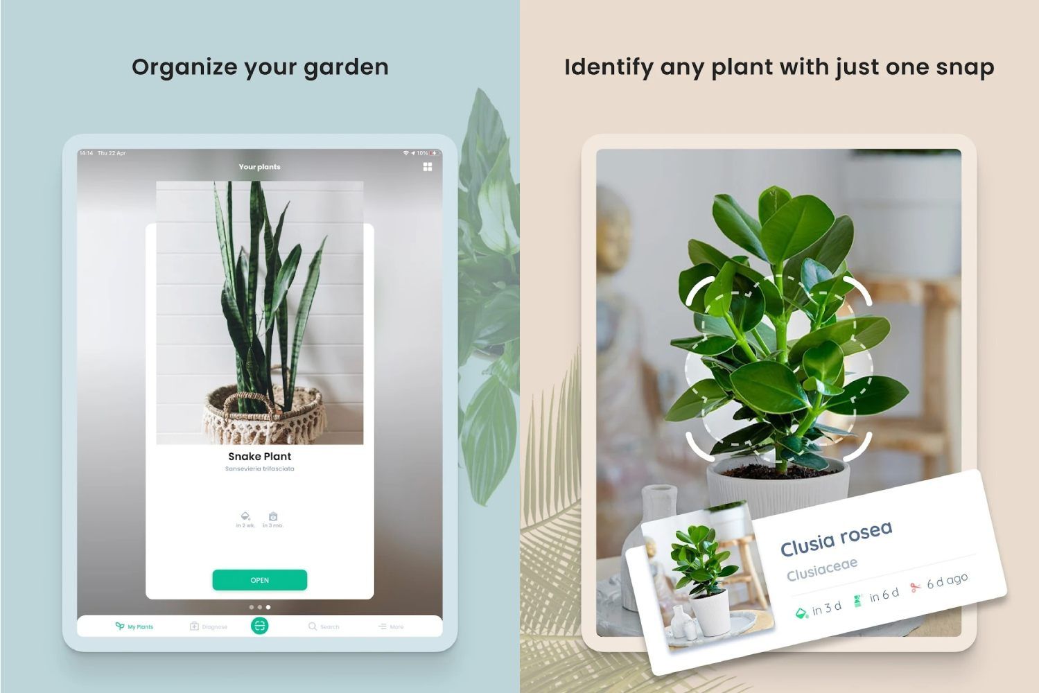 5 best plant identification apps on Android