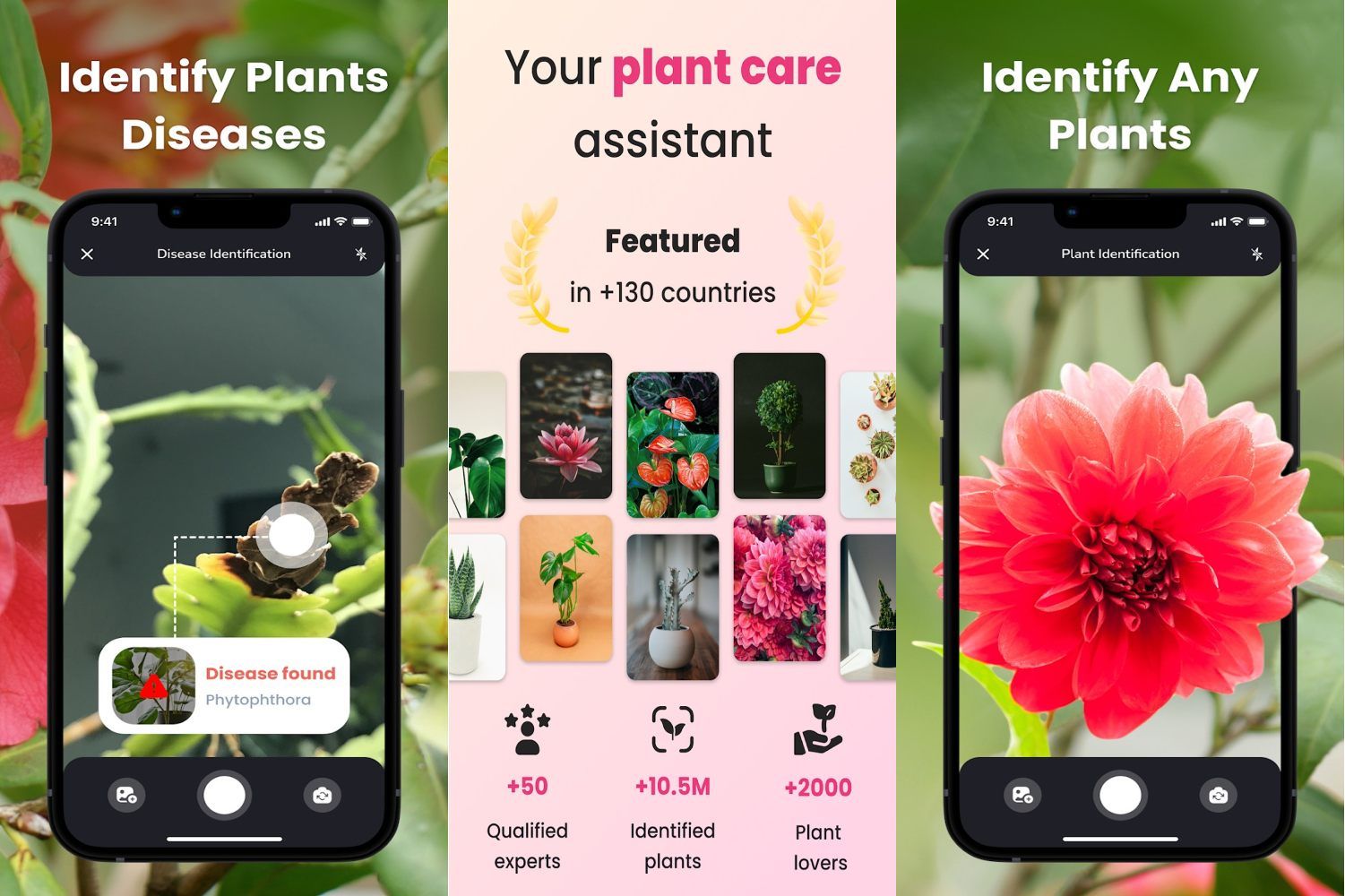 5 best plant identification apps on Android