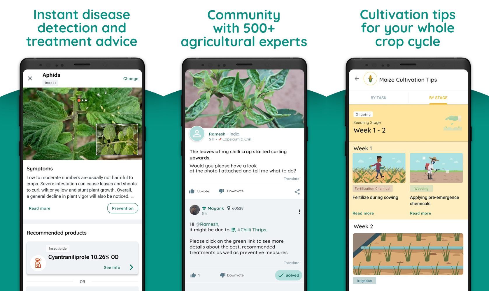 5 best plant identification apps on Android