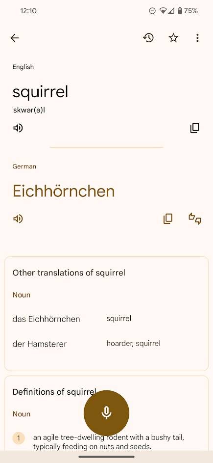 Google Translate: How to translate or transcribe voice to text